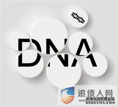 亲子鉴定常用的方法有DNA鉴定，此外还经常使用